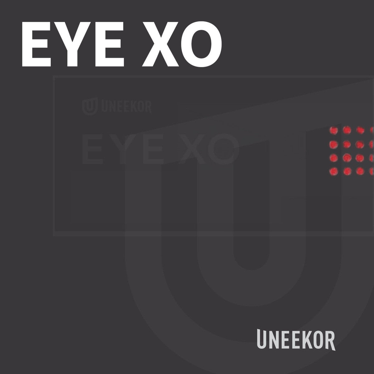 Uneekor EYE XO Golf Launch Monitor